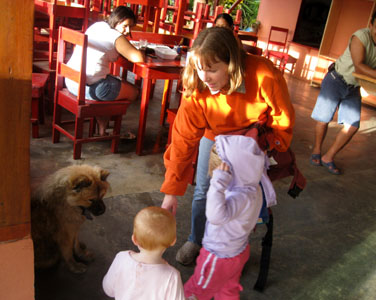 We see butterflys, toucans, mccaws, monkeys, hummingbirds, a lizards and a crocodile and Baby 3 is just as happy to pet the puppy